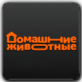 Домашние Животные